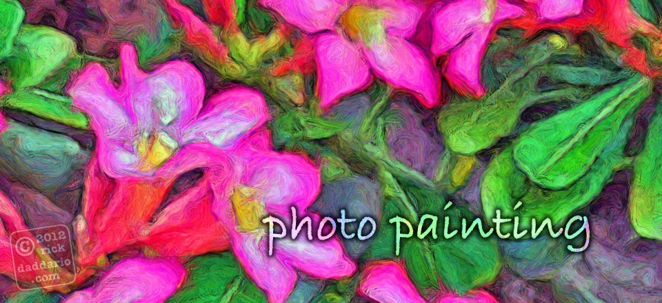 painting of pink flowers for a haiga